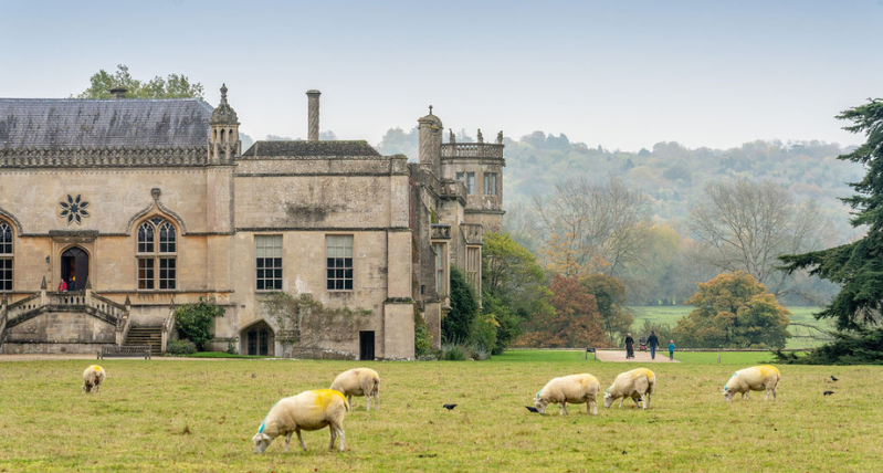 Lacock Abbey with Sheep in the Field